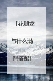 花腿龙与什么满背搭配