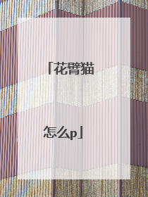 花臂猫怎么p