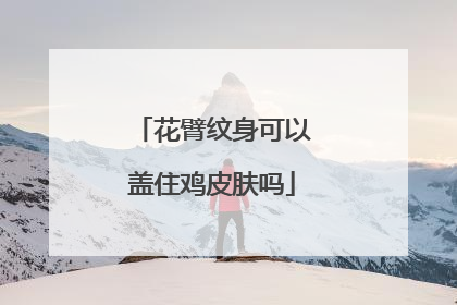 花臂纹身可以盖住鸡皮肤吗