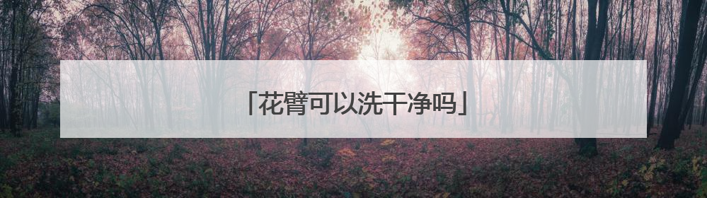花臂可以洗干净吗