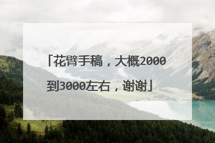 花臂手稿，大概2000到3000左右，谢谢