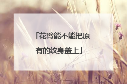 花臂能不能把原有的纹身盖上