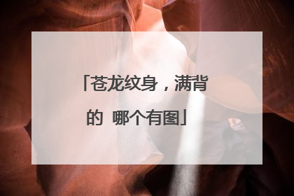 苍龙纹身，满背的 哪个有图
