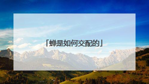 蝉是如何交配的