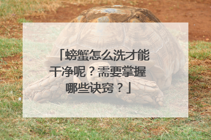 螃蟹怎么洗才能干净呢？需要掌握哪些诀窍？