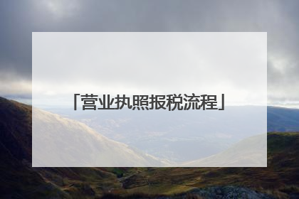 营业执照报税流程