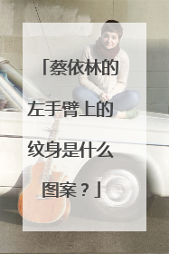 蔡依林的左手臂上的纹身是什么图案？