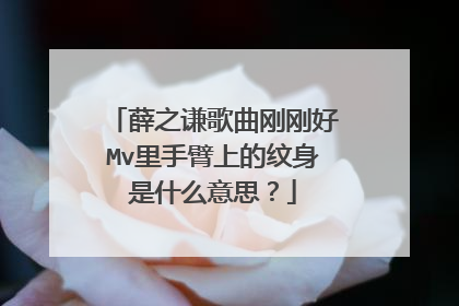 薛之谦歌曲刚刚好Mv里手臂上的纹身是什么意思？