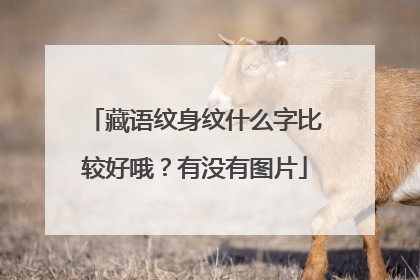 藏语纹身纹什么字比较好哦？有没有图片