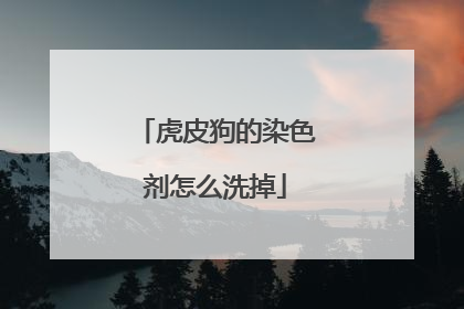 虎皮狗的染色剂怎么洗掉