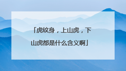 虎纹身，上山虎，下山虎都是什么含义啊