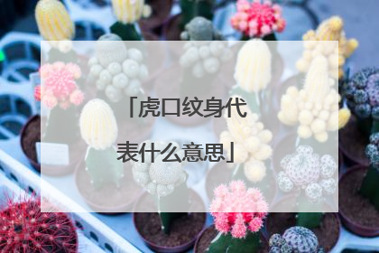 虎口纹身代表什么意思