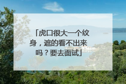 虎口很大一个纹身，遮的看不出来吗？要去面试