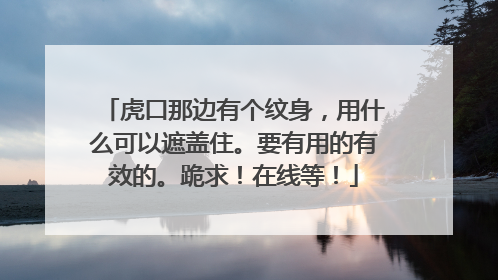 虎口那边有个纹身，用什么可以遮盖住。要有用的有效的。跪求！在线等！