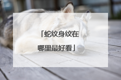 蛇纹身纹在哪里最好看