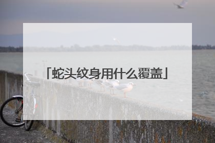 蛇头纹身用什么覆盖