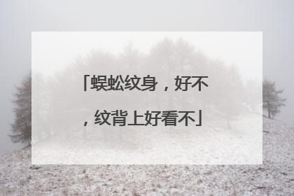 蜈蚣纹身,好不,纹背上好看不