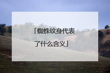 蜘蛛纹身代表了什么含义