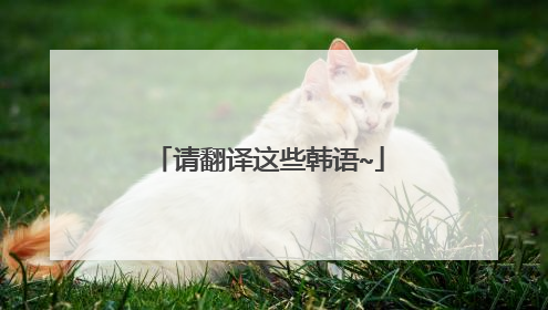 请翻译这些韩语~