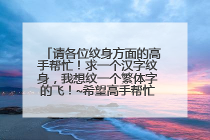 请各位纹身方面的高手帮忙！求一个汉字纹身，我想纹一个繁体字的飞！~希望高手帮忙设计一下，
