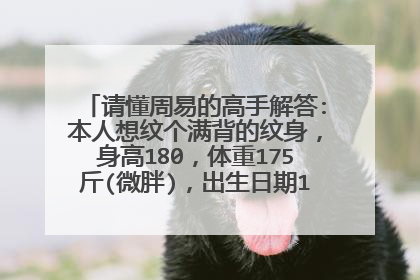 请懂周易的高手解答:本人想纹个满背的纹身,身高180,体重175斤(微胖),出生日期1988年7月初3(阴历),1988