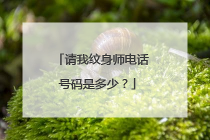 请我纹身师电话号码是多少？