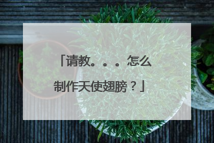 请教。。。怎么制作天使翅膀？