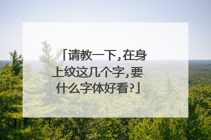 请教一下,在身上纹这几个字,要什么字体好看?