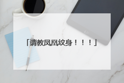 请教凤凰纹身！！！