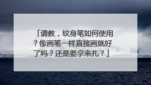 请教，纹身笔如何使用？像画笔一样直接画就好了吗？还是要拿来扎？