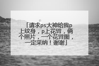请求ps大神给我p上纹身，p上花臂，俩个照片，一个花臂图，一定采纳！谢谢