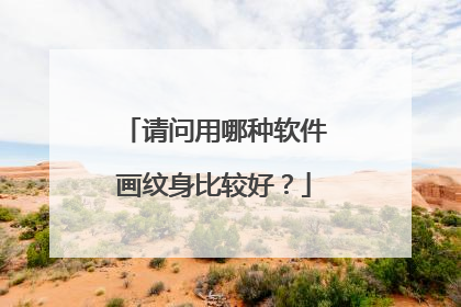 请问用哪种软件画纹身比较好？