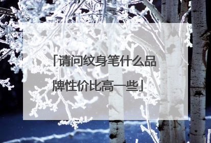 请问纹身笔什么品牌性价比高一些