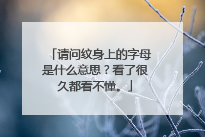 请问纹身上的字母是什么意思？看了很久都看不懂。