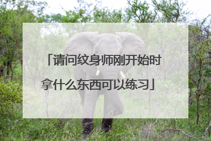 请问纹身师刚开始时拿什么东西可以练习
