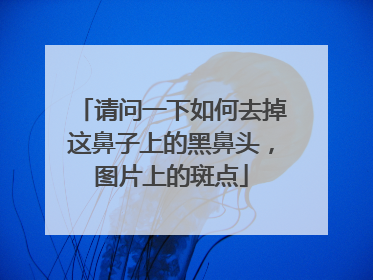 请问一下如何去掉这鼻子上的黑鼻头,图片上的斑点