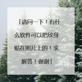请问一下！有什么软件可以把纹身贴在照片上的！求解答！谢谢