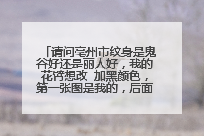 请问亳州市纹身是鬼谷好还是丽人好，我的花臂想改 加黑颜色，第一张图是我的，后面是要改重的颜色。