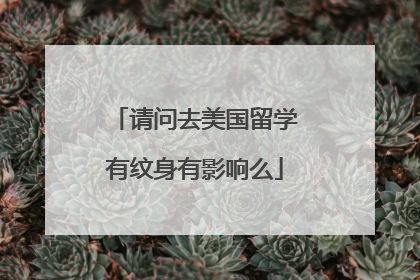 请问去美国留学有纹身有影响么