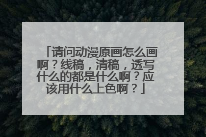 请问动漫原画怎么画啊？线稿，清稿，透写什么的都是什么啊？应该用什么上色啊？