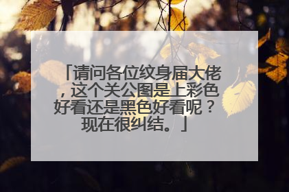 请问各位纹身届大佬，这个关公图是上彩色好看还是黑色好看呢？现在很纠结。