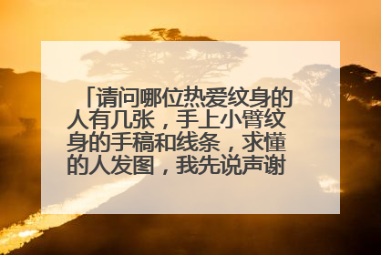 请问哪位热爱纹身的人有几张,手上小臂纹身的手稿和线条,求懂的人发图,我先说声谢谢了。感激。
