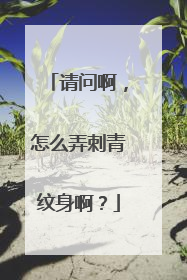 请问啊,怎么弄刺青纹身啊?