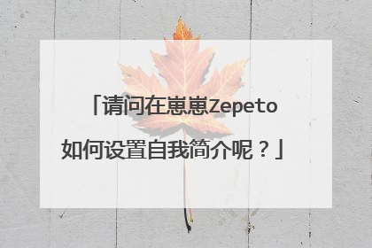 请问在崽崽Zepeto如何设置自我简介呢?