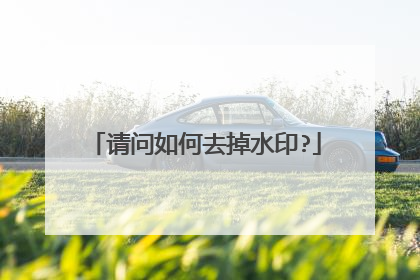 请问如何去掉水印?