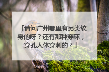 请问广州哪里有另类纹身的呀？还有那种穿环，穿孔人体穿刺的？