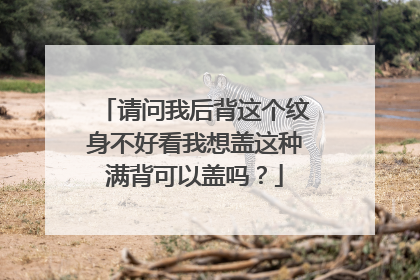 请问我后背这个纹身不好看我想盖这种满背可以盖吗?