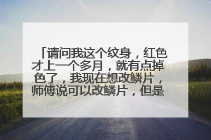 请问我这个纹身，红色才上一个多月，就有点掉色了，我现在想改鳞片，师傅说可以改鳞片，但是鳞片上不了白