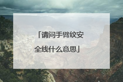 请问手臂纹安全线什么意思