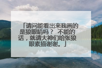 请问能看出来我画的是狼眼睛吗？ 不能的话，就请大神们给张狼眼素描谢谢。
